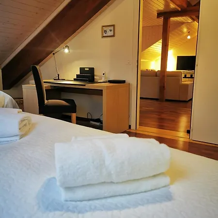 Penthouse Between Lake, Ouchy And Center Apartment