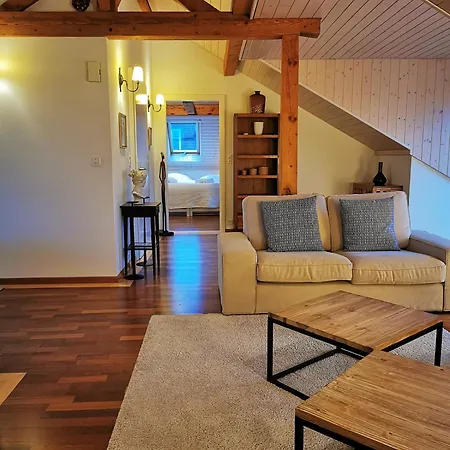 Penthouse Between Lake, Ouchy And Center * Lausanne